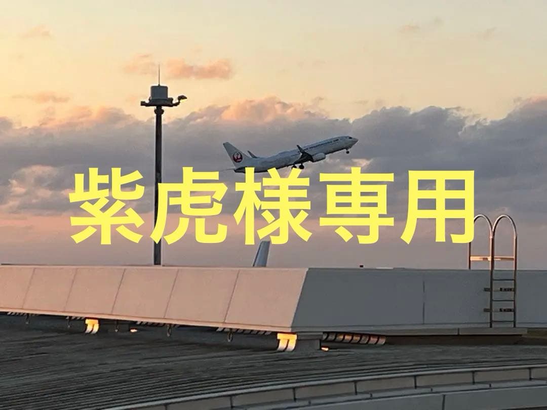 レジンアート海(紫虎)