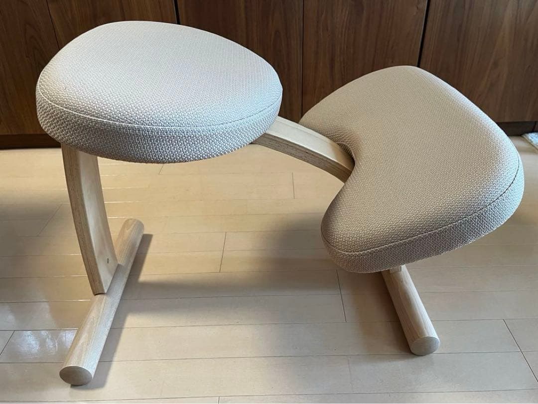 バランスチェア　バランスイージー　 ショートフレーム　専用カバー付