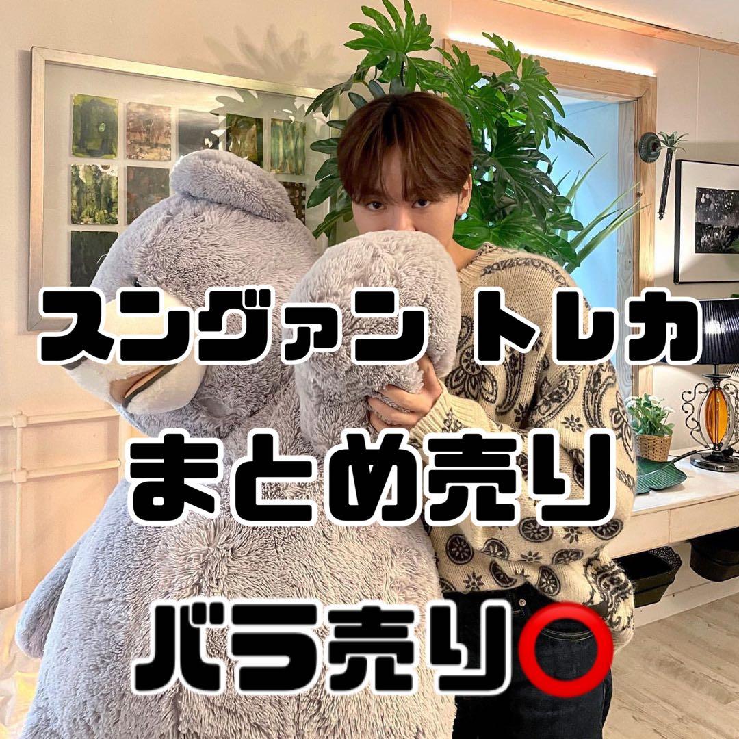 SEVENTEEN セブチ スングァン トレカ イルコン ③